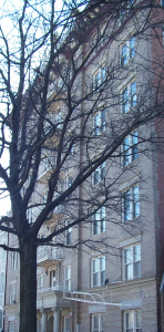 Cropped Aristic Photo with Tree